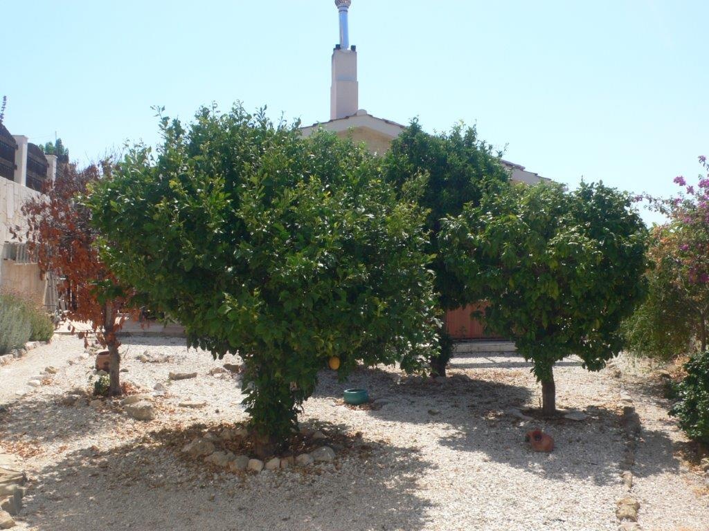 Residential Villa - 4 BEDROOM DETACHED VILLA FOR SALE IN NEO CHORIO with full title deed