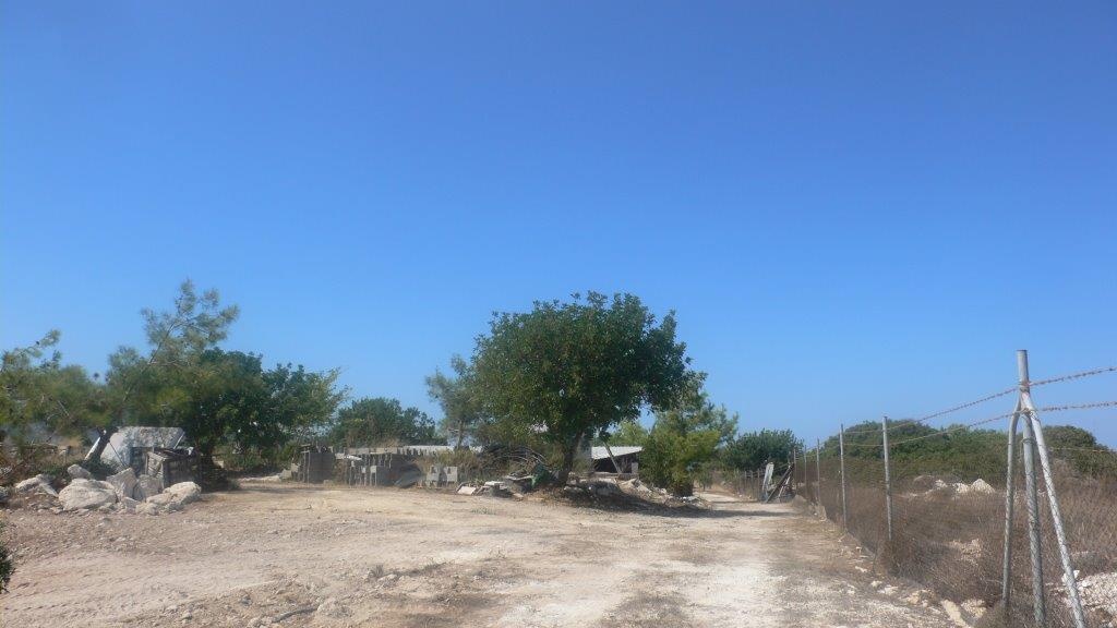 Land Land - AGRICULTURAL LAND FOR SALE IN NEO CHORIO PAPHOS CYPRUS