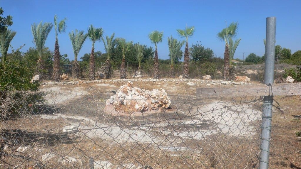 Land Land - AGRICULTURAL LAND FOR SALE IN NEO CHORIO PAPHOS CYPRUS
