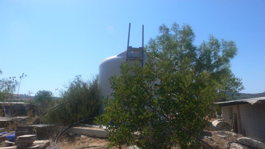 Land Land - AGRICULTURAL LAND FOR SALE IN NEO CHORIO PAPHOS CYPRUS