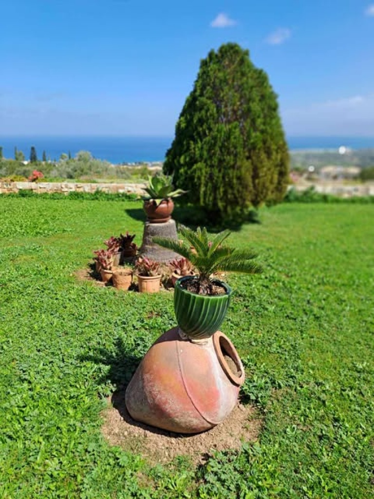 Residential Bungalow - INVESTMENT OPPORTUNITY BUNGALOW FOR SALE IN LATCHI PAPHOS CYPRUS