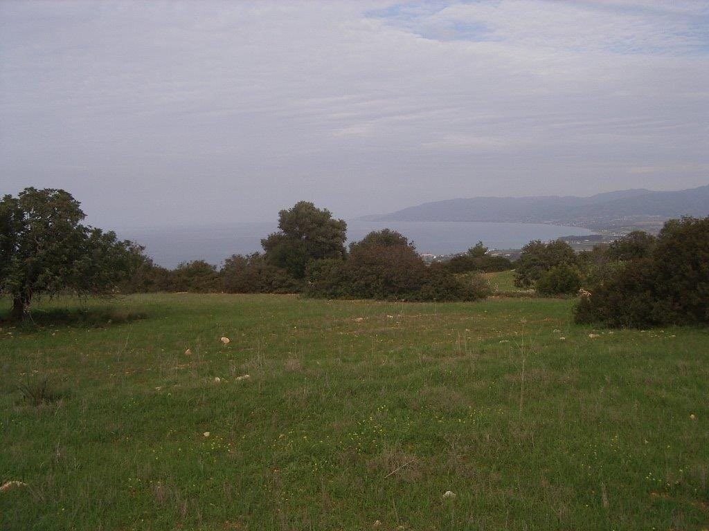 Land Land - AGRICULTURAL LAND IN NEO CHORIO