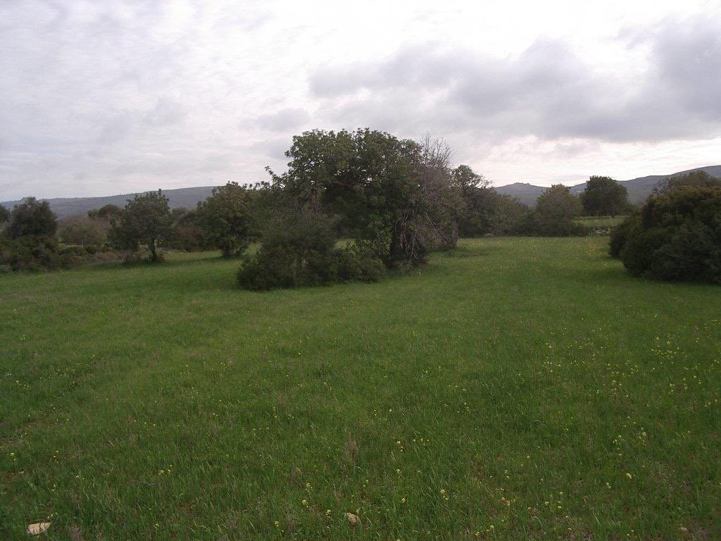 Land Land - AGRICULTURAL LAND IN NEO CHORIO