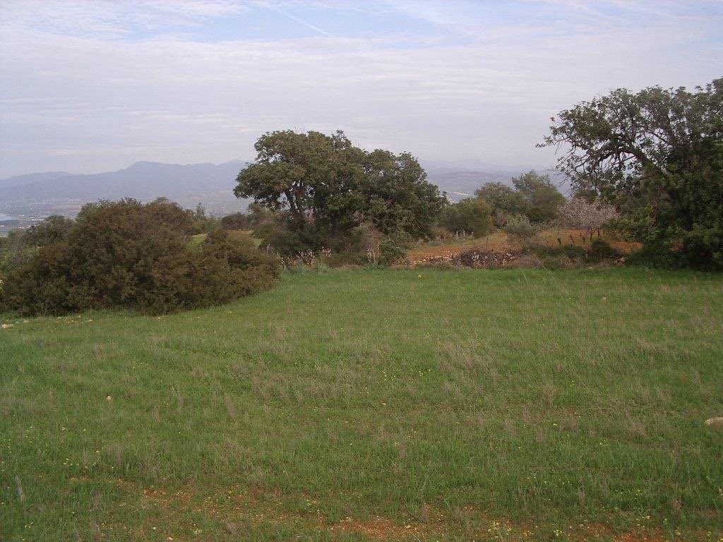 Land Land - AGRICULTURAL LAND IN NEO CHORIO