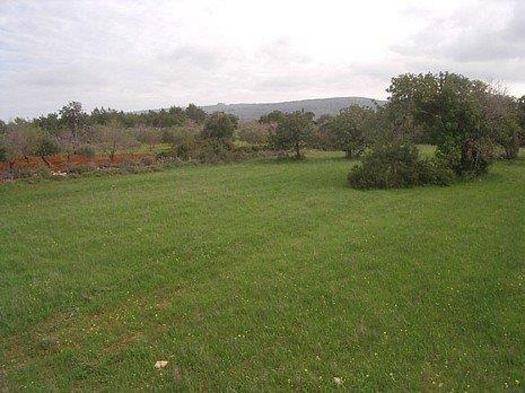 Land Land - AGRICULTURAL LAND IN NEO CHORIO