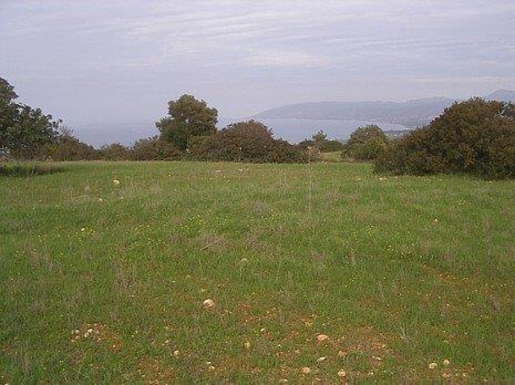 Land Land - AGRICULTURAL LAND IN NEO CHORIO